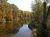 Area of French Creek where Carrie Hutson saved Charles Hutson and where Fred Hutson drowned
